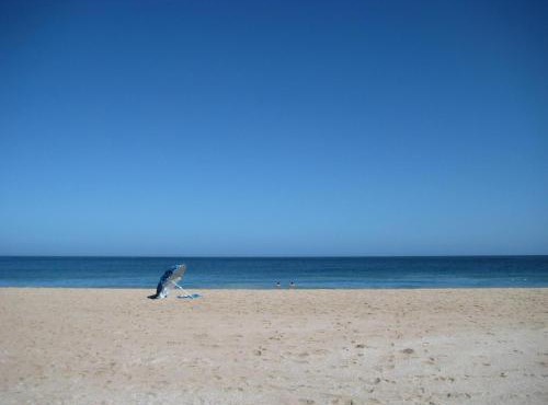 Absolute Beach Accommodation in Stompneusbaai