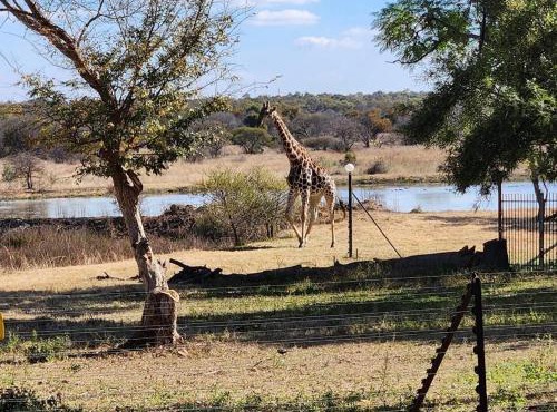 Wild and Water Dinokeng in Dinokeng Game Reserve