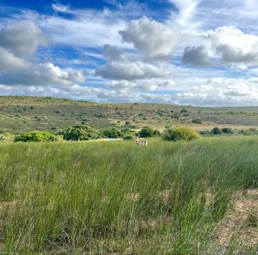 Baardbos Private Game Reserve in Stilbaai