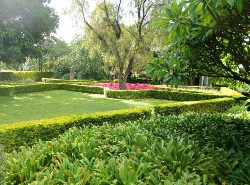 Rose and Ivy Cottages in Louis Trichardt