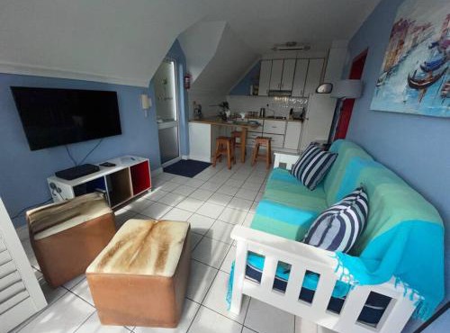De Blauwvoet - Flamingo Apartment in Cape Town