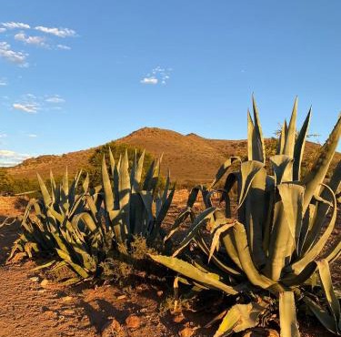 Waterval farmstay in Graaff-Reinet
