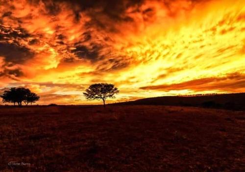 The Ranch House at African Safari Lodge in Grahamstown