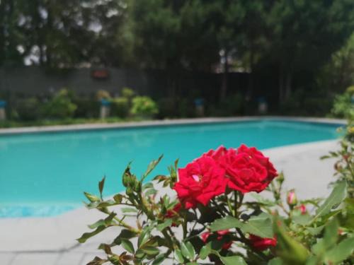 Lamon Guesthouse 
